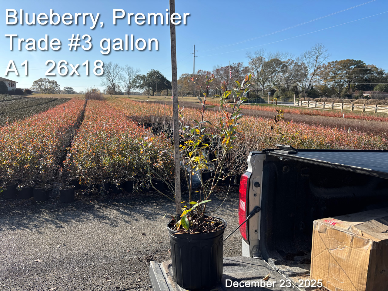 gallery/bpr3t a1 dec23.jpg